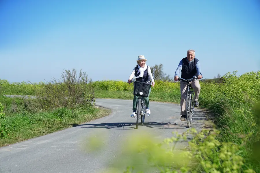 Älteres Paar fährt Rad auf einem Weg zwischen Feldern